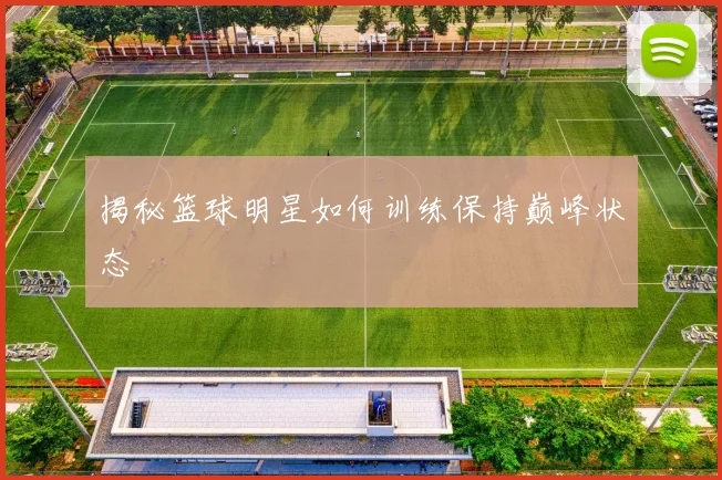 揭秘篮球明星如何训练保持巅峰状态
