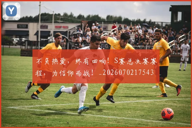 不负热爱，终有回响！S赛总决赛赛程，为信仰而战！_20260702175432